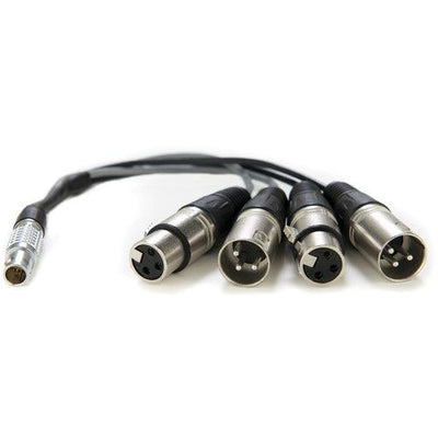 Atomos LEMO Type to XLR Breakout Cable for Shogun