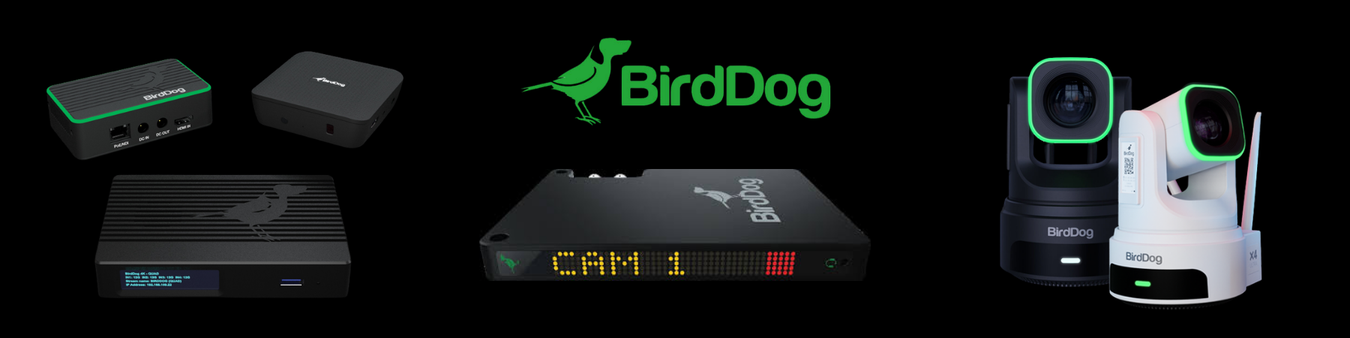 BirdDog