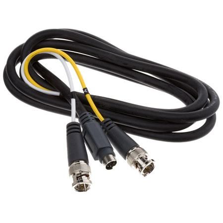 AJA S-Video To Dual BNC Cable